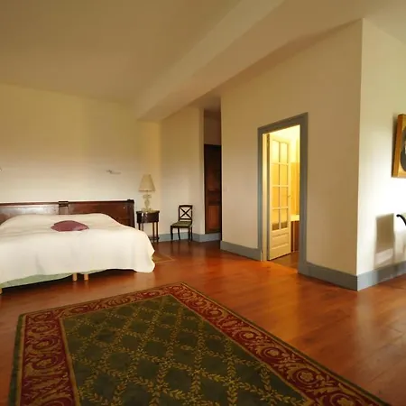 Chateau D'orion Orion