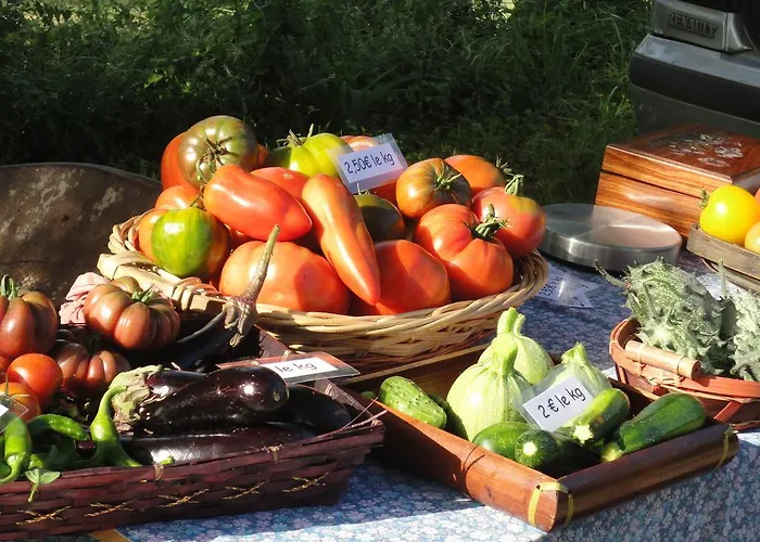 Gæstehus Chateau D'orion Orion