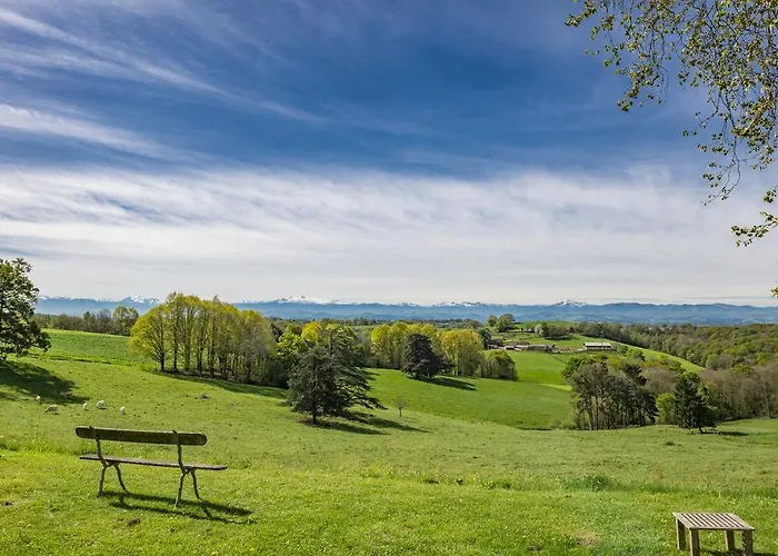 Chateau D'orion Orion