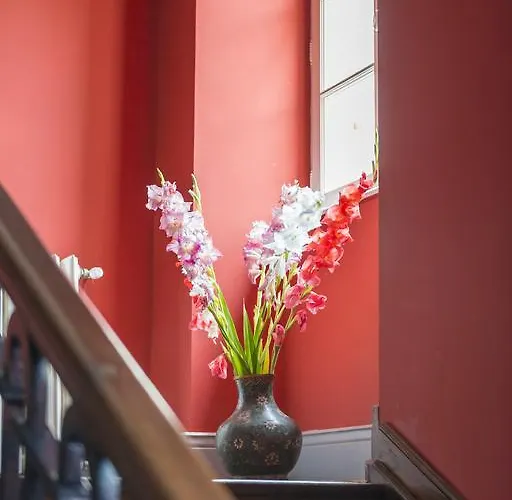 Gæstehus Chateau D'orion