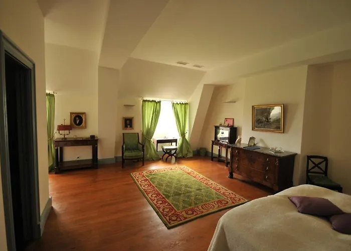 Gæstehus Chateau D'orion 4*