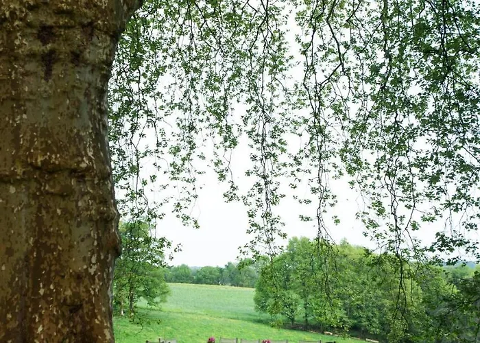 Gæstehus Chateau D'orion